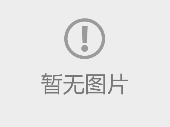 集团架构