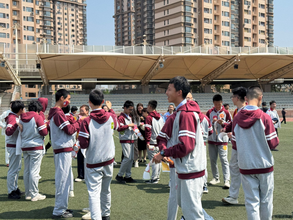 图片4
