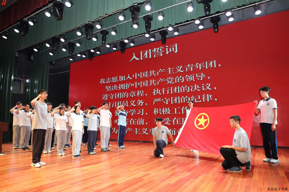 图片4