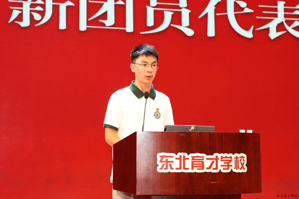 图片6