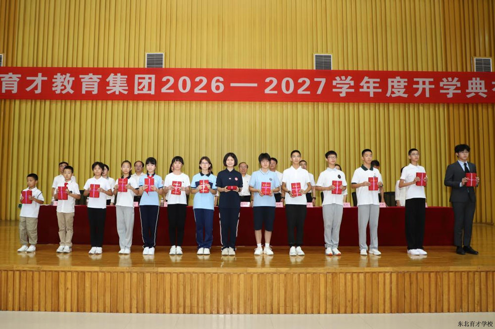 图片5