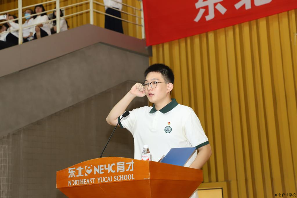 图片12