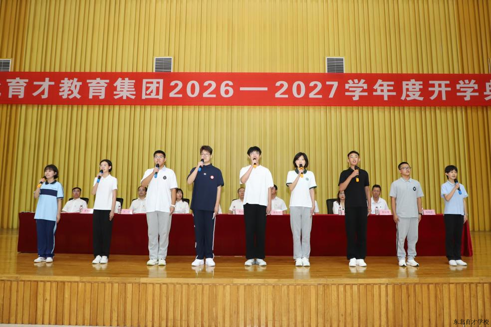 图片7